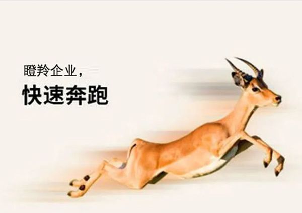 喜报！广州姐妹韩国剧在线观看高清入选广州市“瞪羚企业”